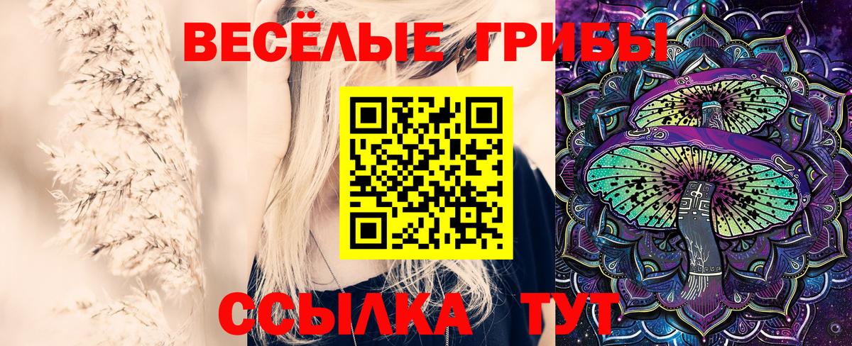 Псилоцибиновые грибы MAGIC MUSHROOMS Лабинск