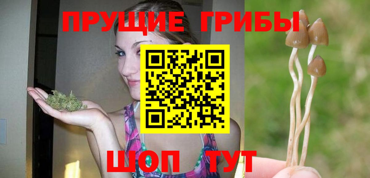Лабинск  Галлюциногенные грибы Magic Shrooms  Вход с VPN 